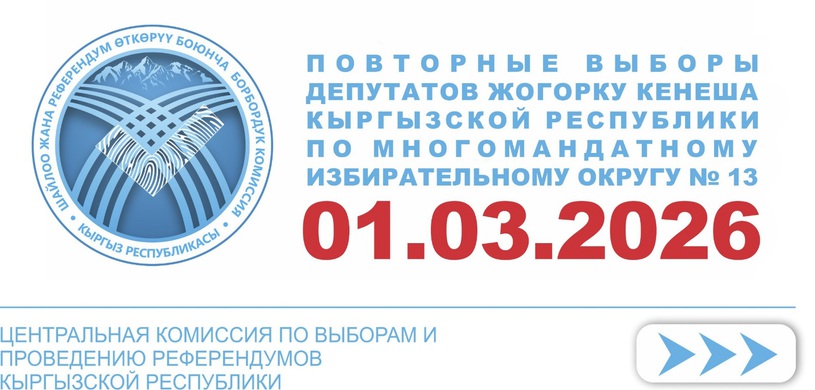 Повторные выборы по 13 округу