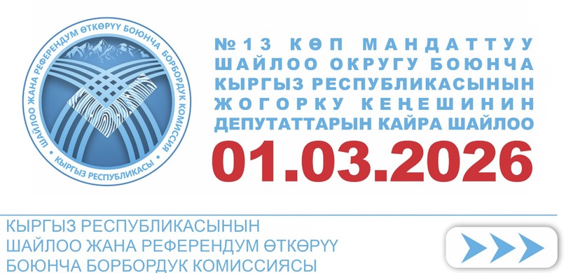 Повторные выборы по 13 округу