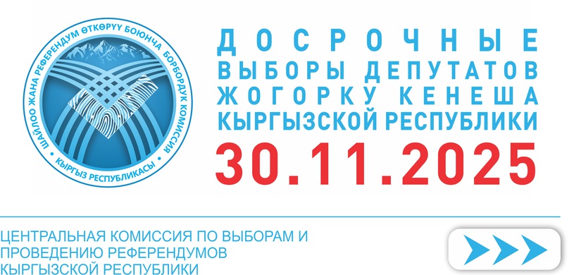 Выборы ноябрь - 2025