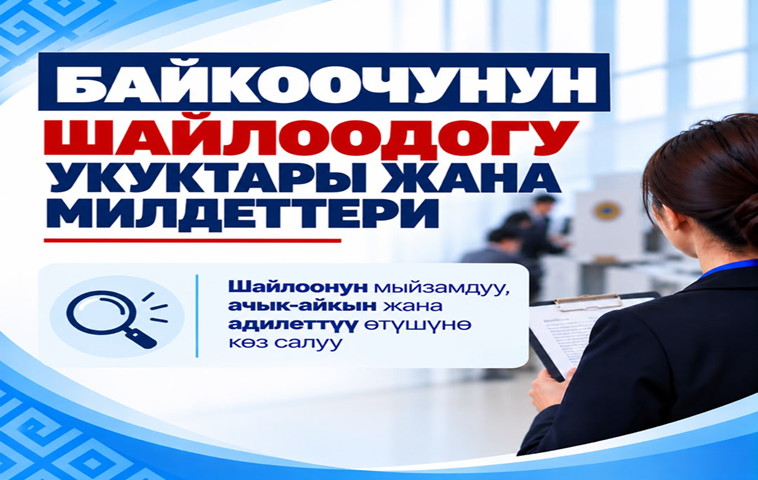 Права и обязанности наблюдателя на выборах